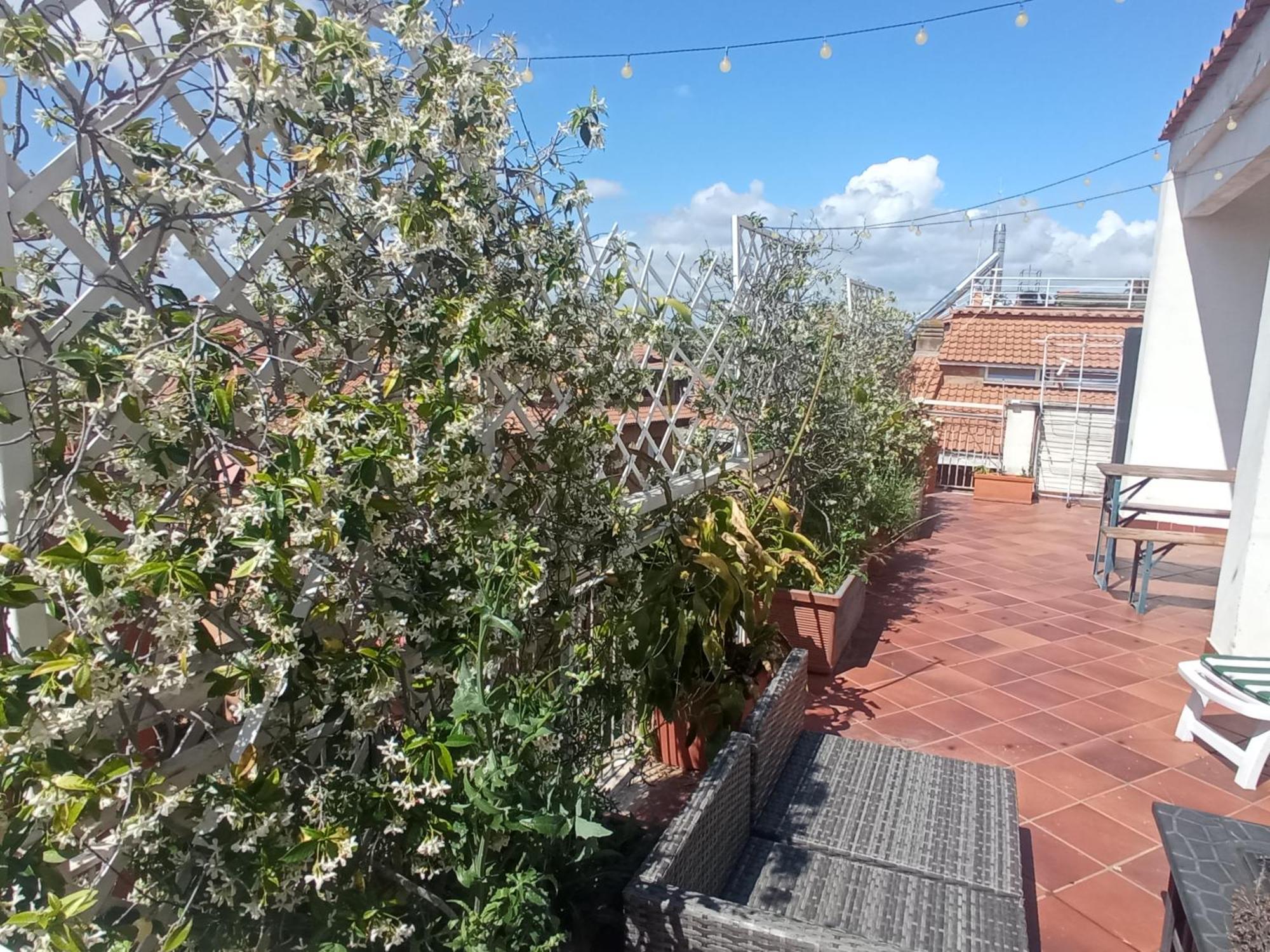 Rooftop Appia Antica,Silenzioso Riservato Two Bedrooms Two Bathrooms Ρώμη Εξωτερικό φωτογραφία